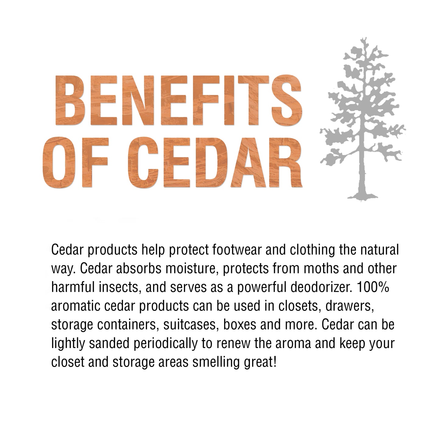 M&B Cedar Shoe Tree (Split Toe, Hook Heel)
